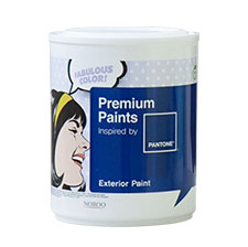 exterior paint 외부용