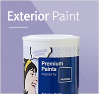 exterior Paint 외부용